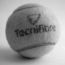 高速云端下载的短信测试网站免费